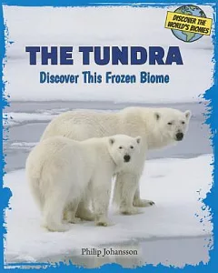 The Tundra: Discover This Frozen Biome