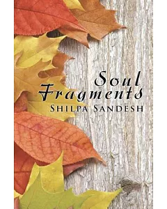 Soul Fragments