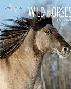 Wild Horses