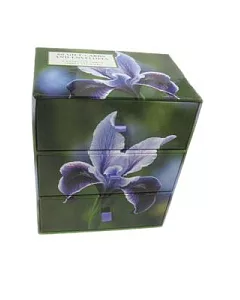 Snowdrop Simply Flowers - Three-drawer Card Box: A Keepsake Box of 60 Beautiful Gift Cards and Envelopes