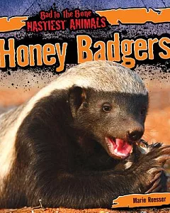 Honey Badgers