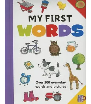 My First Words: Over 300 Everyday Words and Pictures