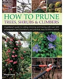 How to Prune Trees, Shrubs & Climbers: A Gardener’s Guide to Cutting, Trimming and Training, With over 650 Photographs and Illus
