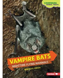 Vampire Bats: Nighttime Flying Mammals