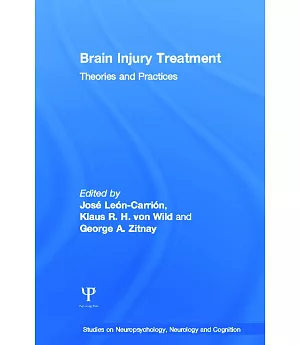Brain Injury Treatment: Theories And Practices