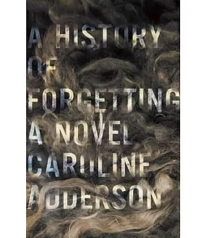 A History of Forgetting