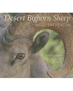 Desert Bighorn Sheep: Wilderness Icon