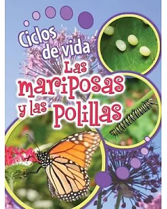 Ciclos de vida de las mariposas y las polillas / Life Cycles of Butterflies and Moths