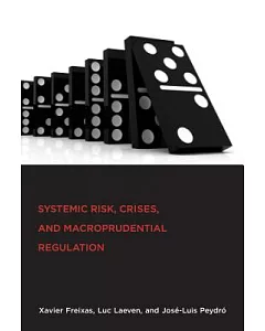 Systemic Risk, Crises, and Macroprudential Regulation