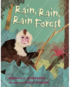 Rain, Rain, Rain Rainforest