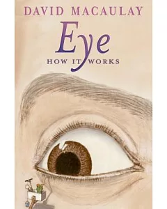 Eye: How It Works