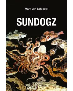 Sundogz: A Diffusion