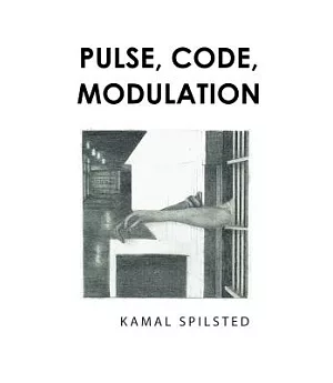 Pulse, Code, Modulation