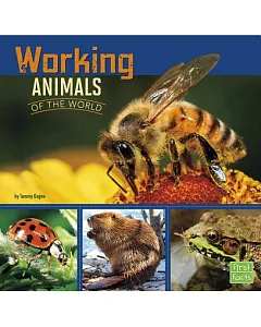 Working Animals of the World