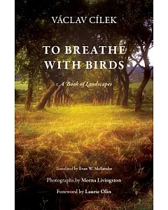 To Breathe With Birds: A Book of Landscapes