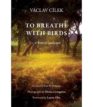 To Breathe With Birds: A Book of Landscapes