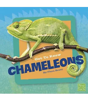 Get to Know Chameleons