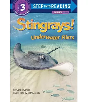 Stingrays!: Underwater Fliers