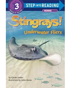 Stingrays! Underwater Fliers