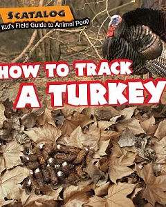 How to Track a Turkey