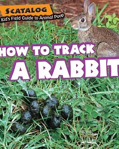 How to Track a Rabbit