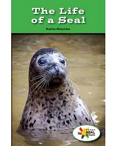 The Life of a Seal