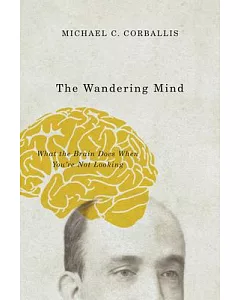 The Wandering Mind: What the Brain Does When You’re Not Looking