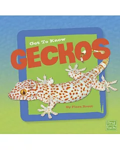 Get to Know Geckos