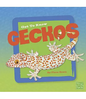 Get to Know Geckos