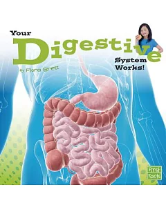 Your Digestive System Works!