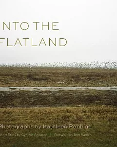 Into the Flatland