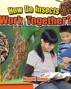 How Do Insects Work Together?