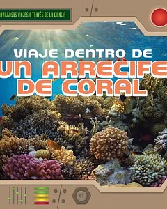 Viaje dentro de un arrecife de coral / A Trip Through a Coral Reef