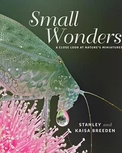 Small Wonders: A Close Look at Nature’s Miniatures