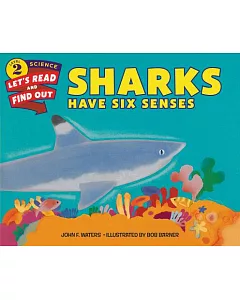Sharks Have Six Senses
