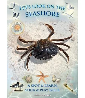 Let’s Look on the Seashore: A Spot & Learn, Stick & Play Book