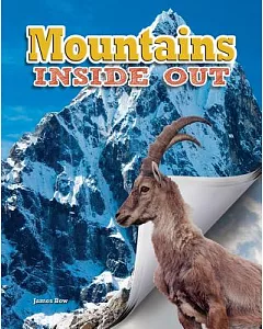 Mountains Inside Out