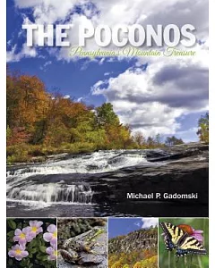 The Poconos: Pennsylvania’s Mountain Treasure