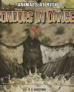 Condors in Danger