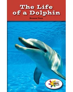 The Life of a Dolphin