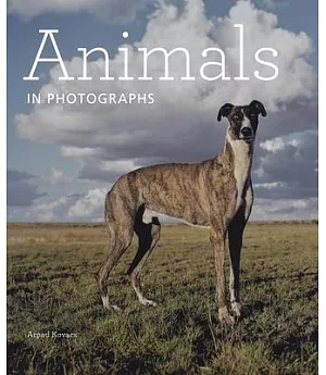 Animals in Photographs