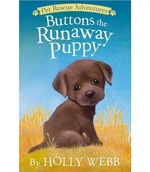 Buttons the Runaway Puppy