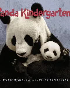 Panda Kindergarten