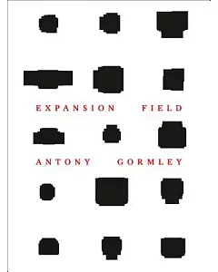 Antony Gormley: Expansion Field