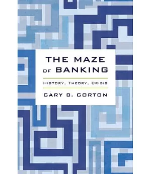 The Maze of Banking: History, Theory, Crisis