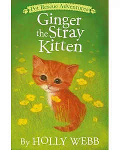 Ginger the Stray Kitten
