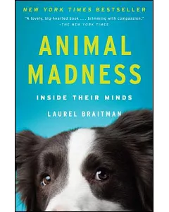 Animal Madness: Inside Their Minds