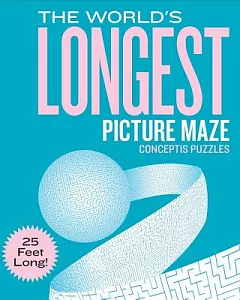 The World’s Longest Picture Maze: 25 Feet Long