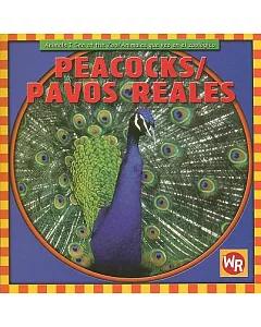Peacocks/ Pavos Reales