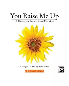You Raise Me Up: A Treasury of Inspirational Favorites Instrutrax Accompaniment/Performance